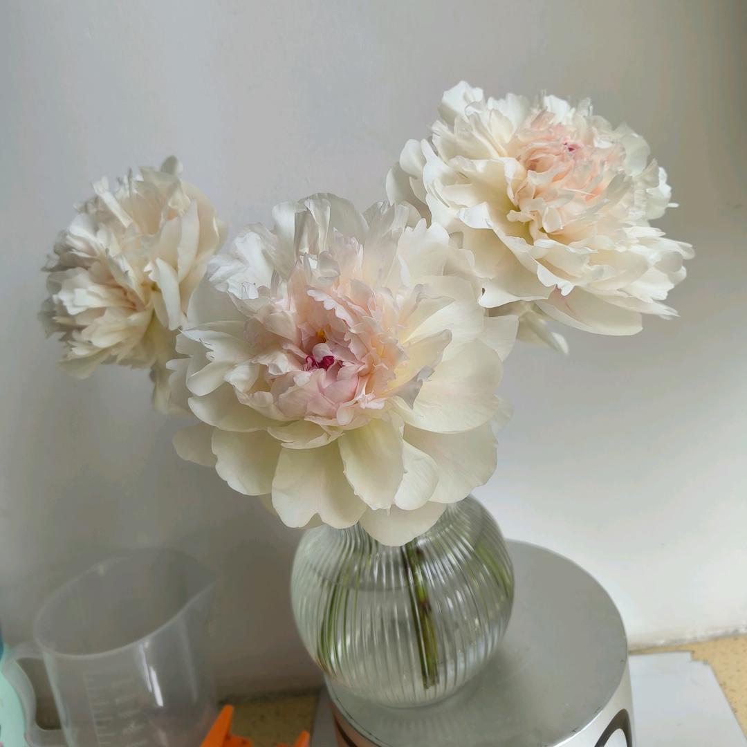 春暖花开🌸🌸