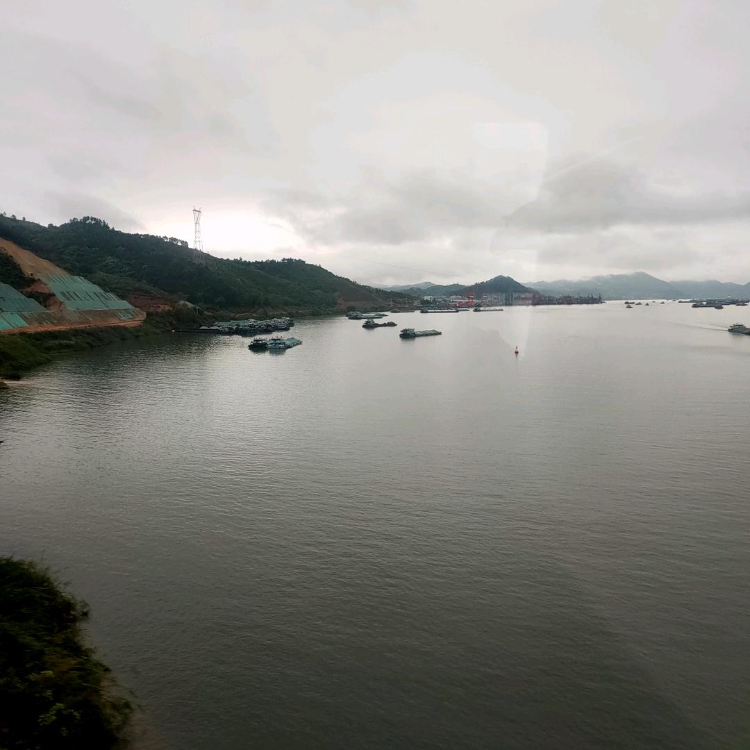 哈雷驾校苟苟教练