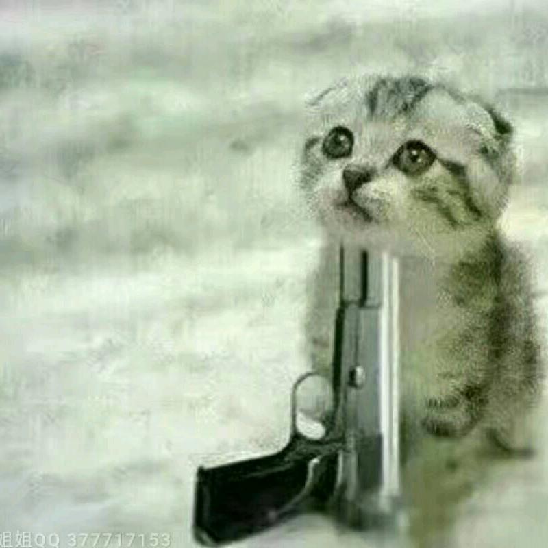 小黑