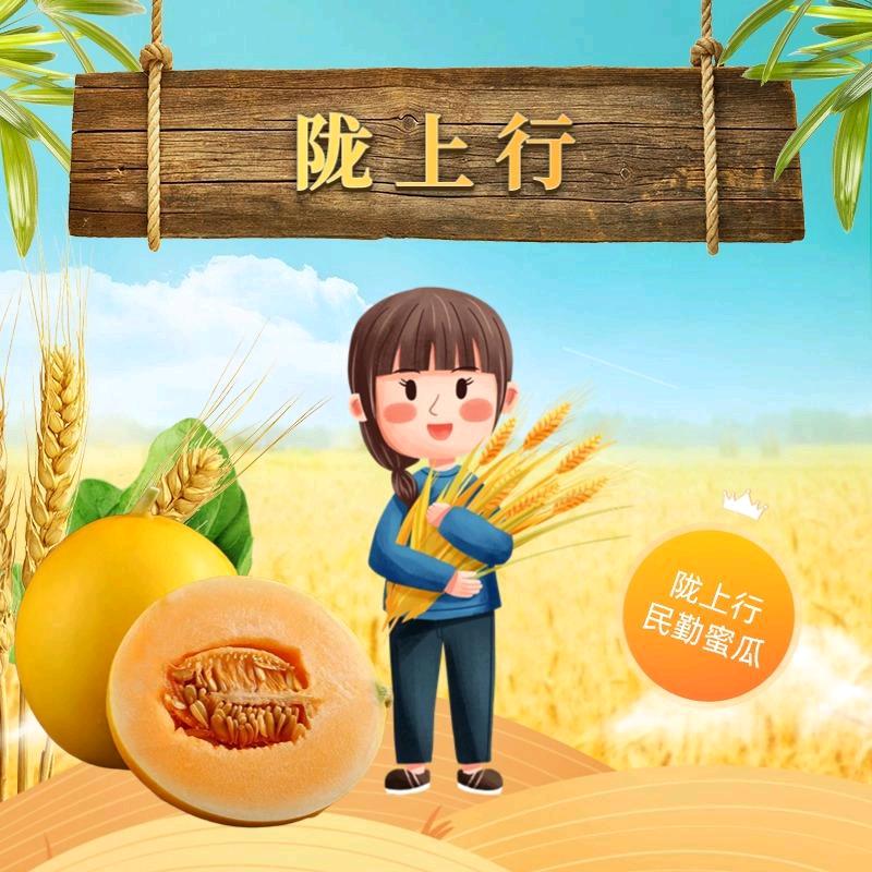 甘肃陇上行民勤人参果