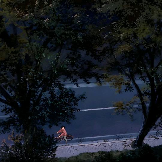 某个呆子