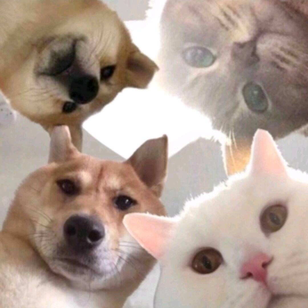 我不是徐曼