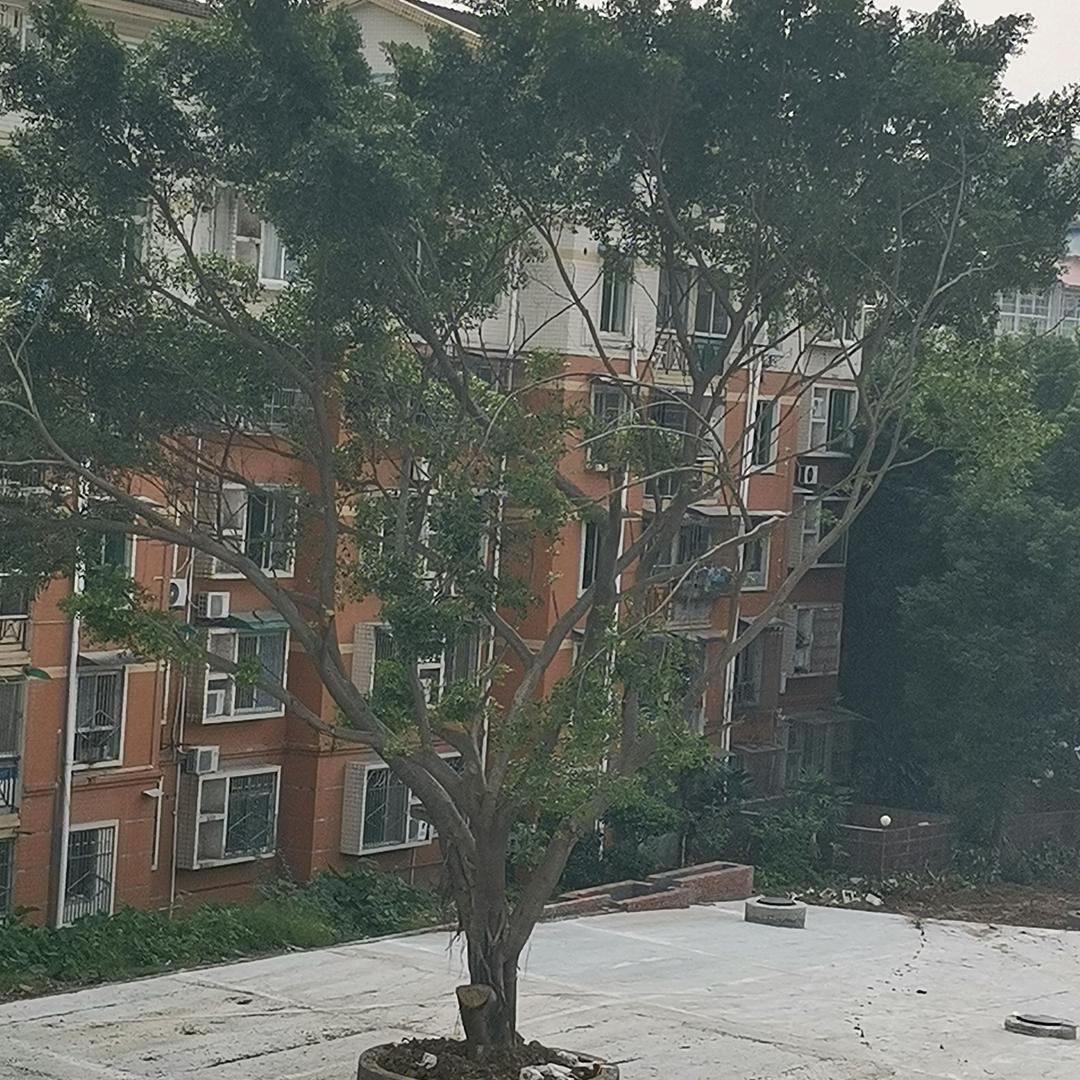 玩笑大哥