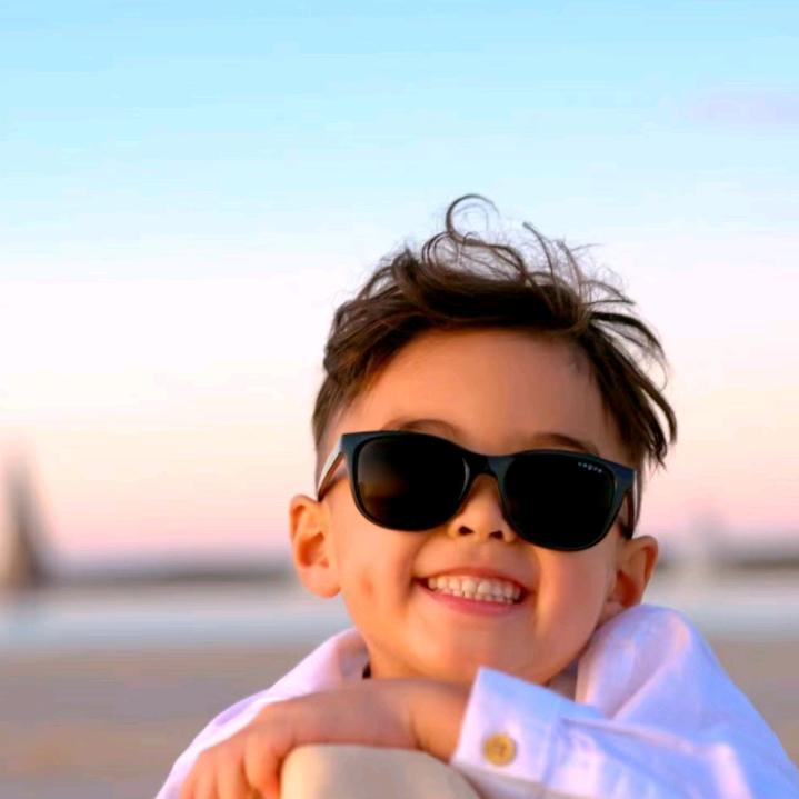 拉普达的拉布拉多