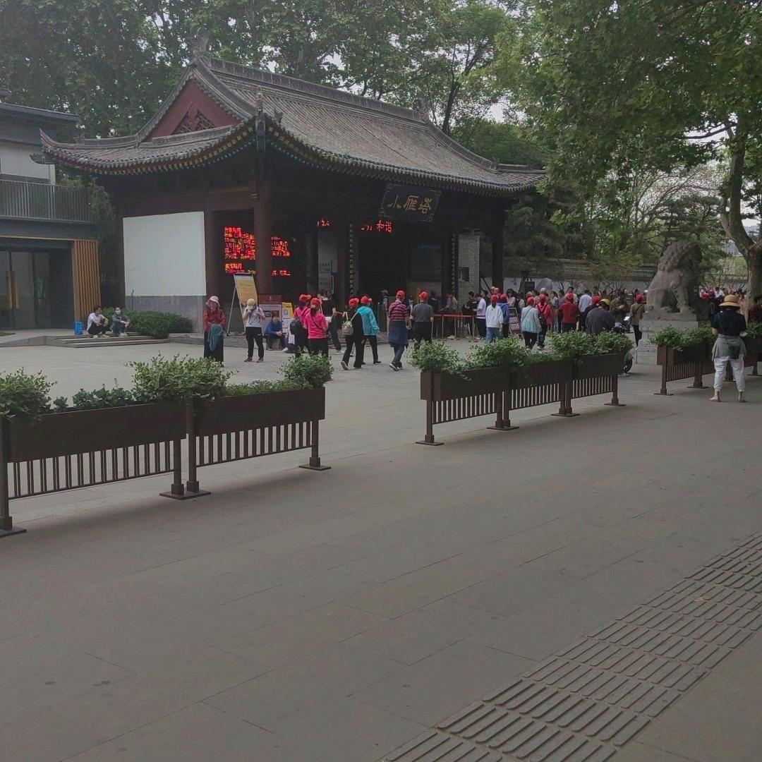 哥吃火锅唱着歌