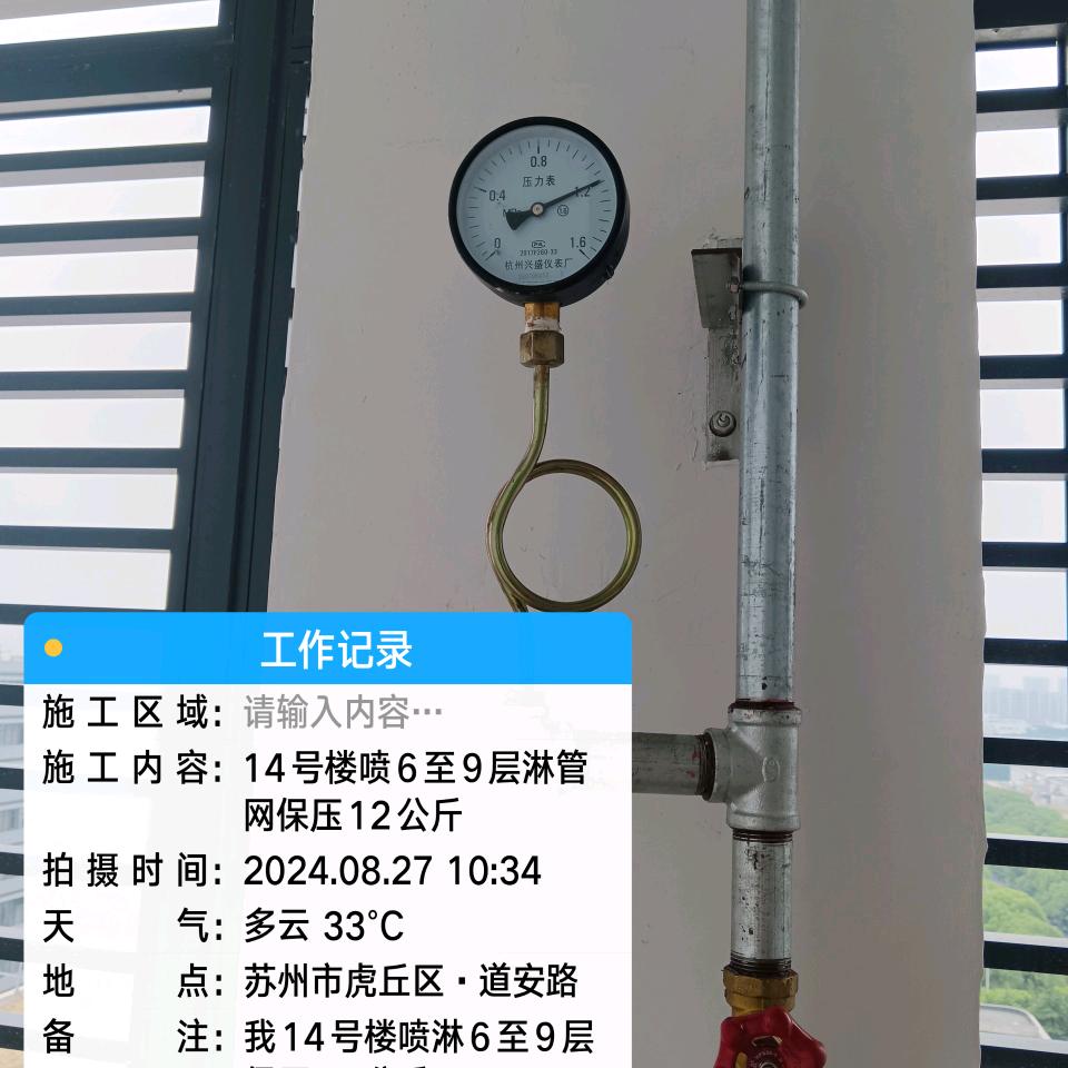 放飞自我