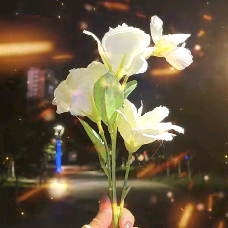 💞᭄听闻余生꧔ꦿꦿ꯭💞