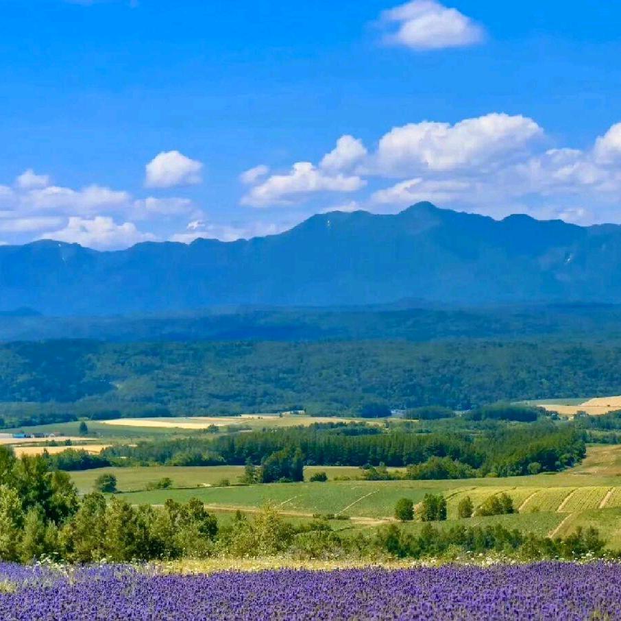 心若移动❤如何联通❤