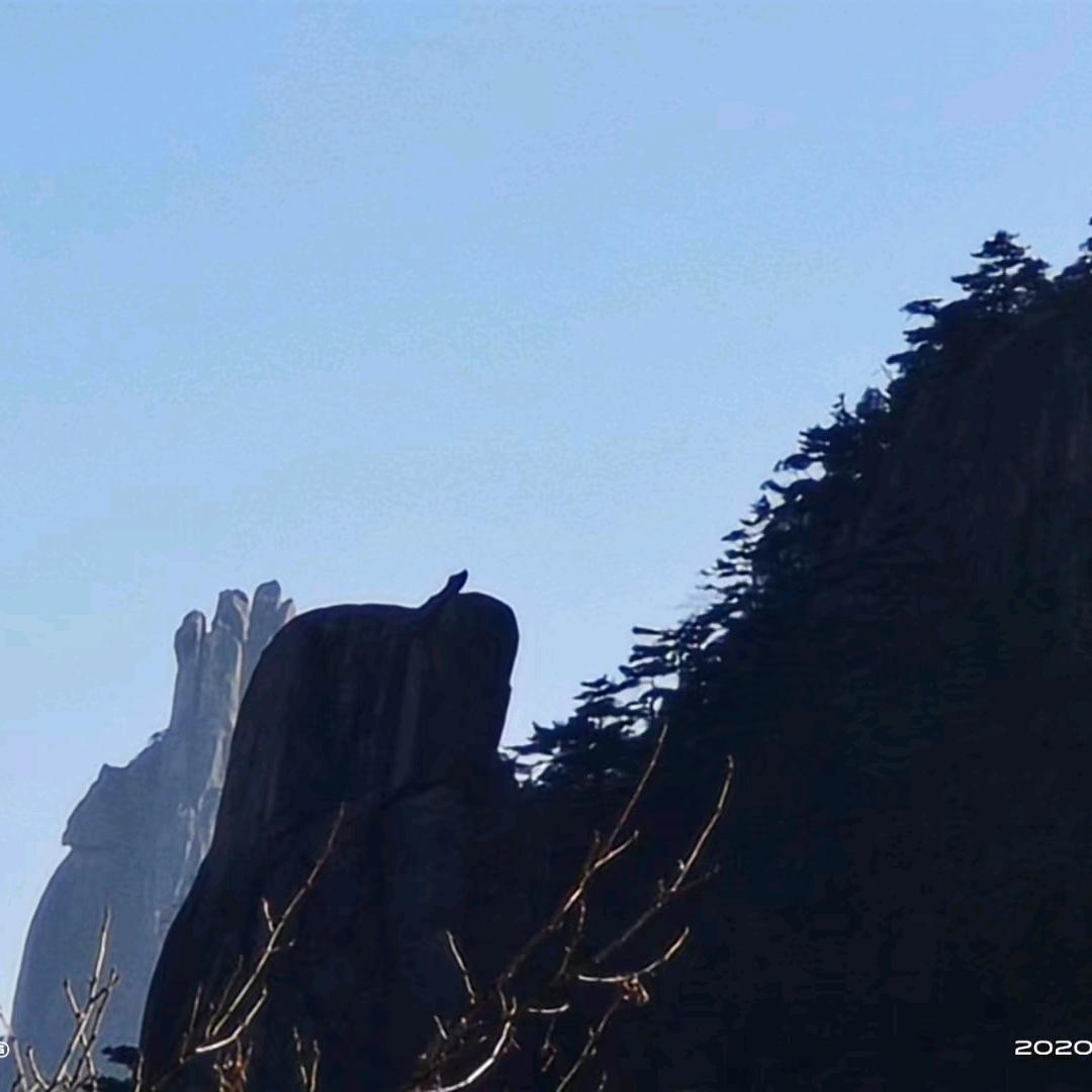 🦋欢喜就好༊⁵⁰