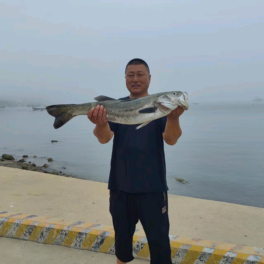 海岛炮哥