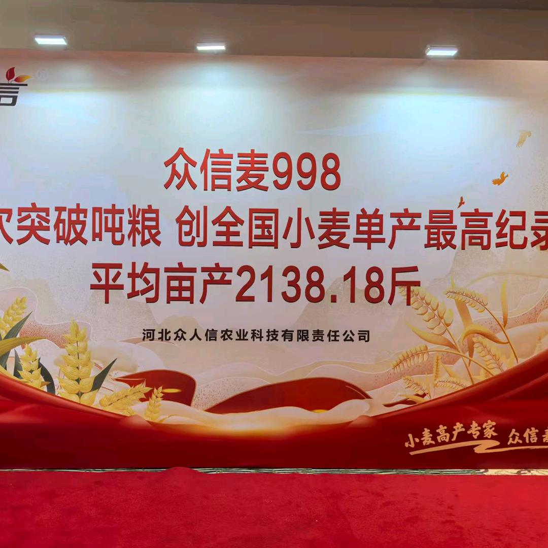 鑫正大种业
