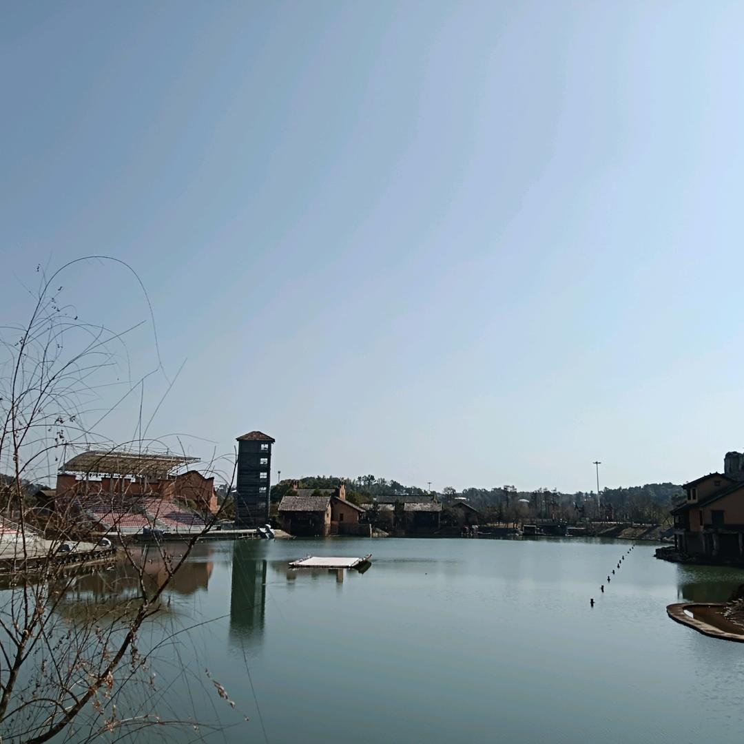 逆徒