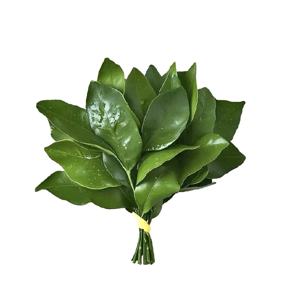 不吃魔芋