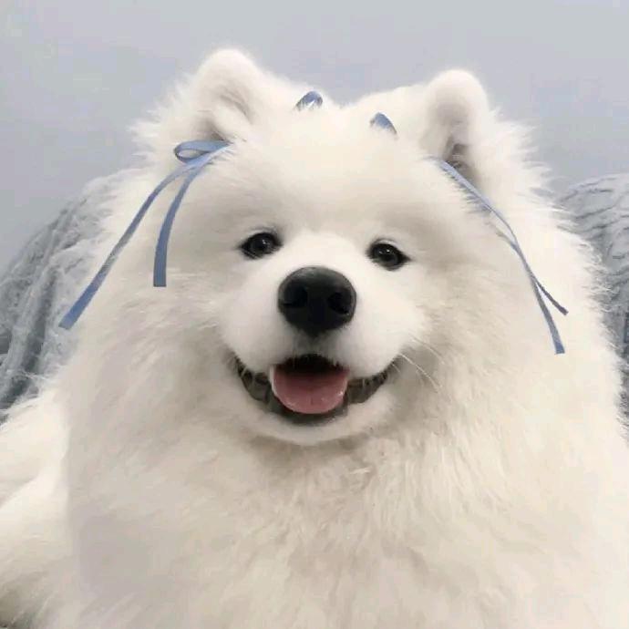 姜尢