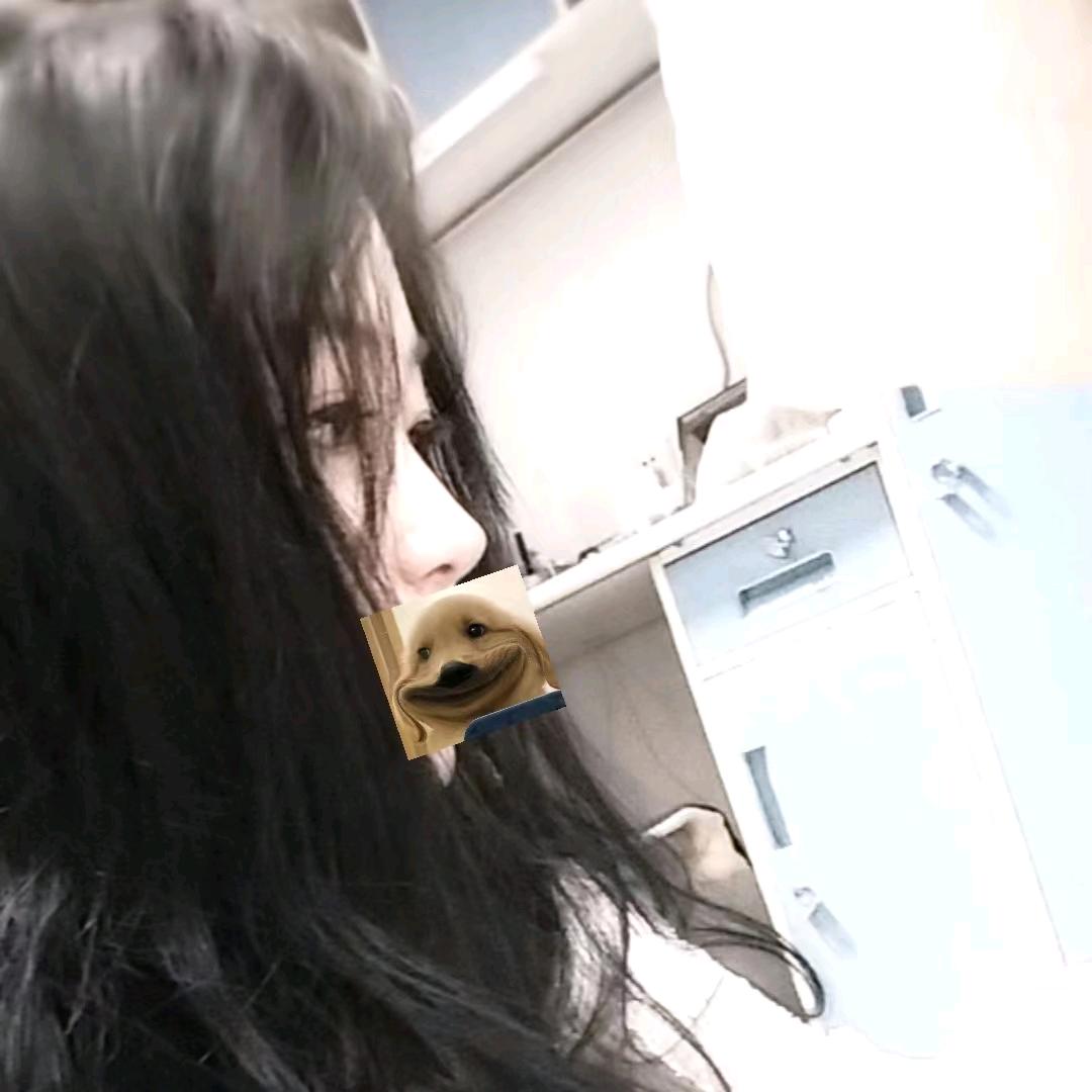 卿青