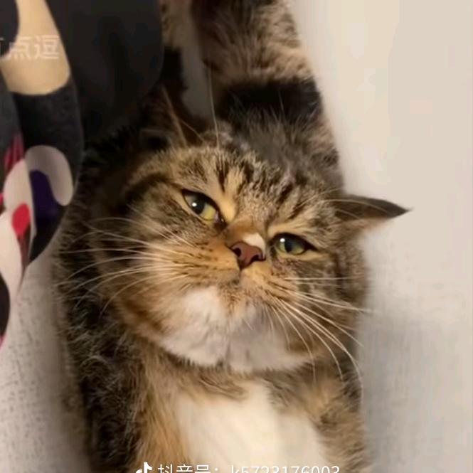 网恋被骗九块九