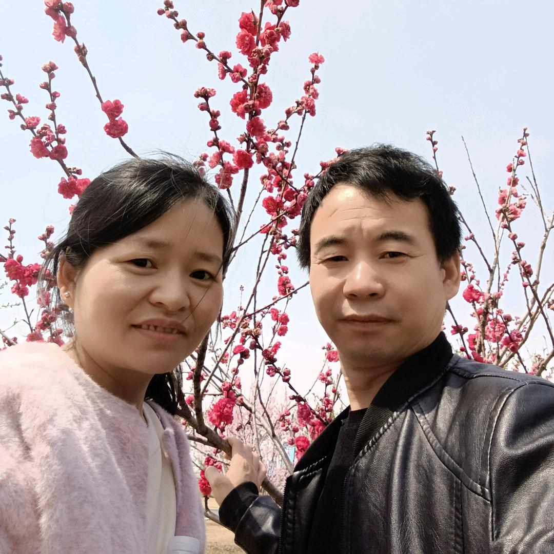 黄记洛阳小碗汤连汤肉片