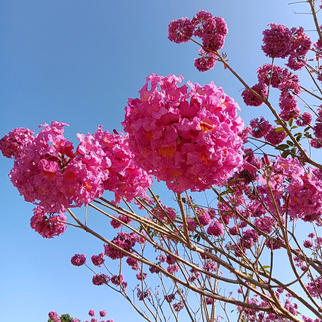 懒诗嫲😊不聊天😊