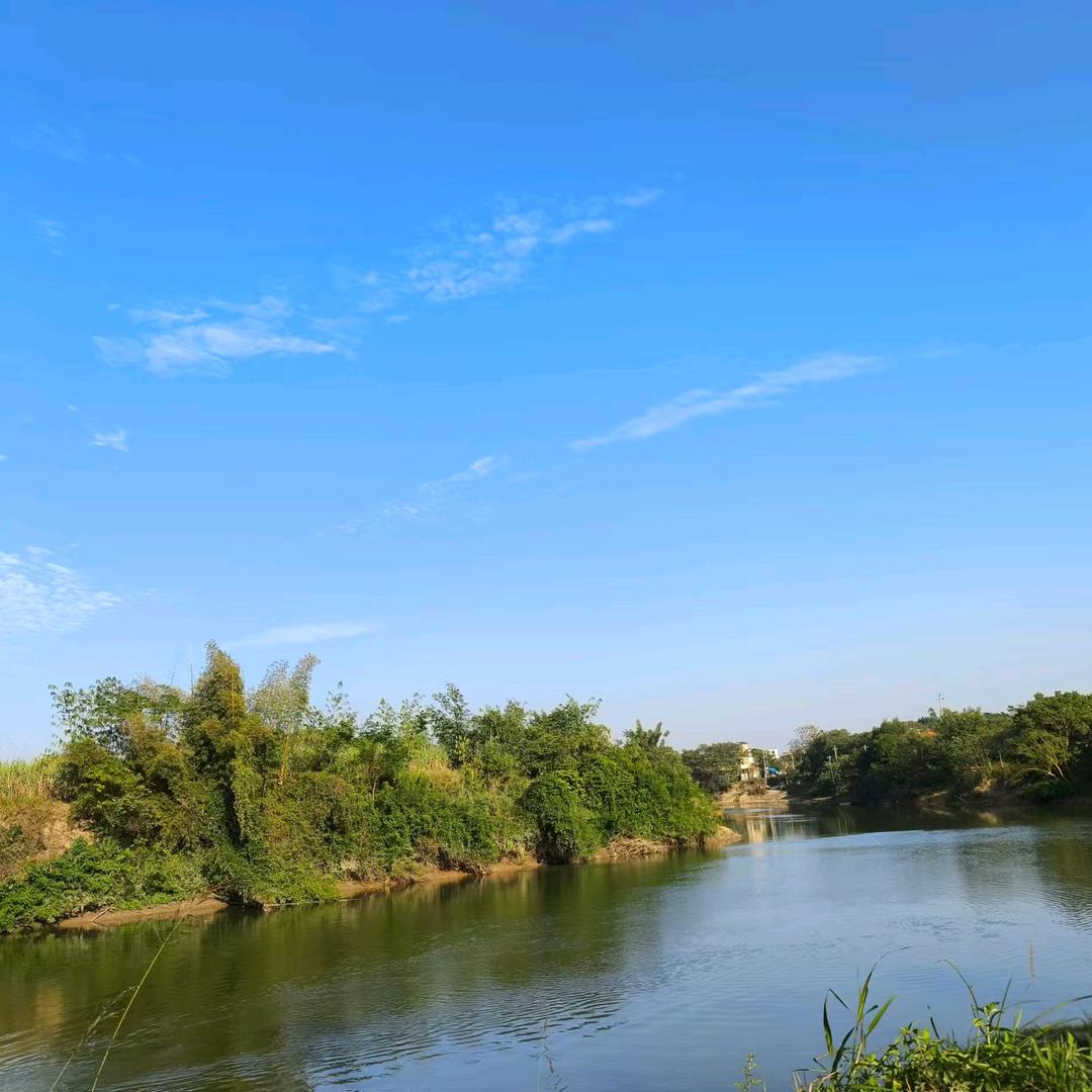 宾阳山水务柳露营基地