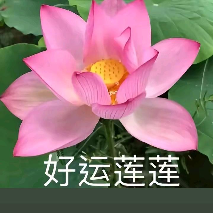 岁月静好