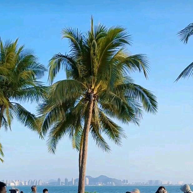 天海一色❤️210