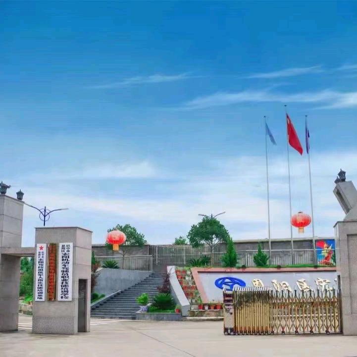 恩阳区宏阳驾校