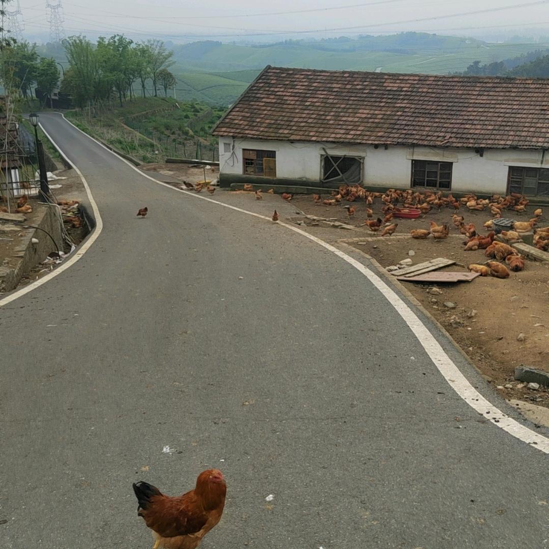 。。。。  。。。