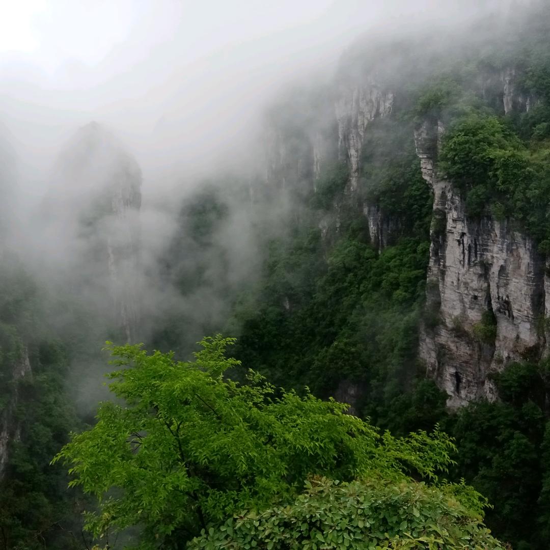 大象净听
