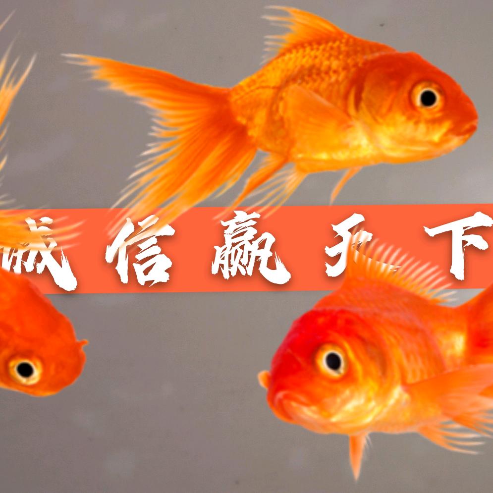 商丘长途大巴客车