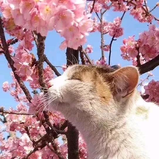 @好运❤️加满
