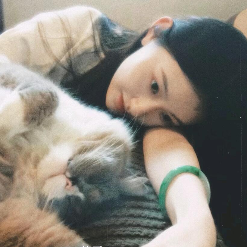 你是不是油猫饼