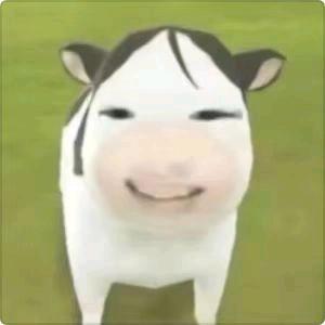 你是合照一张