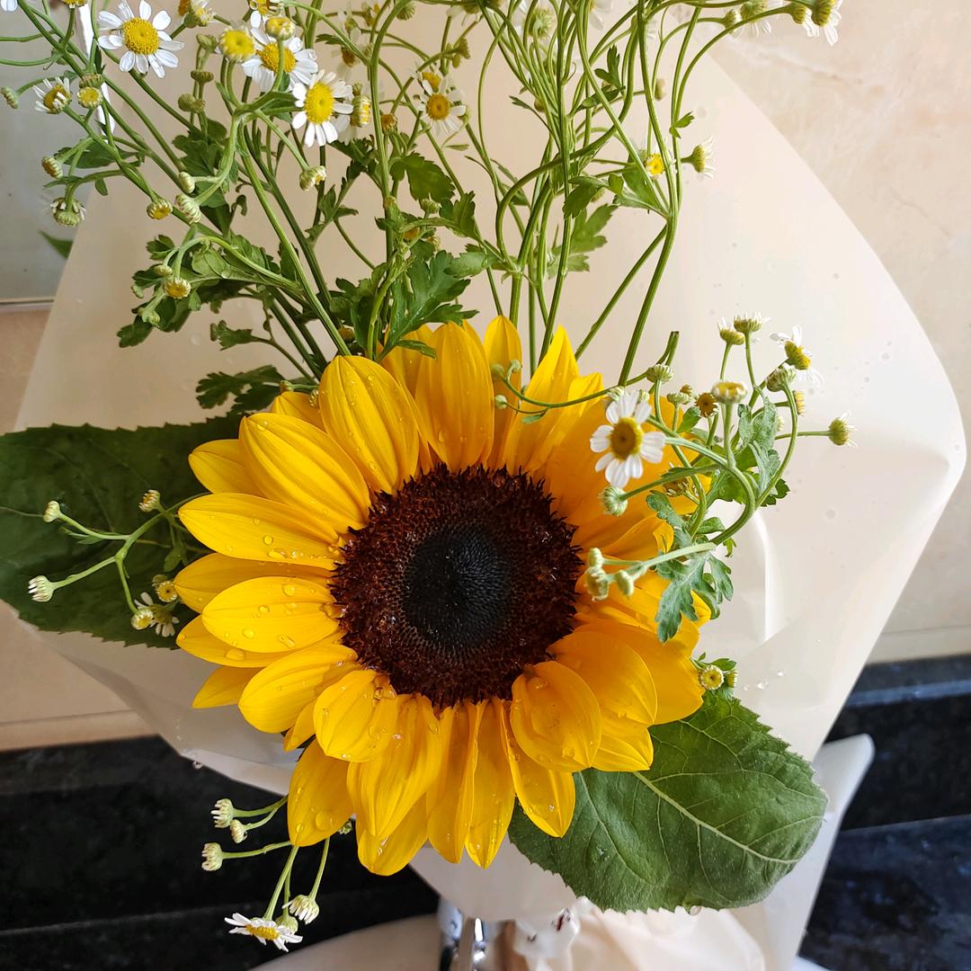 重启美好（王霞）