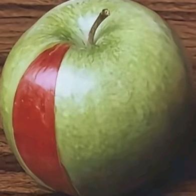 小鱼