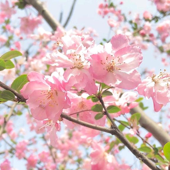 生活好帮手