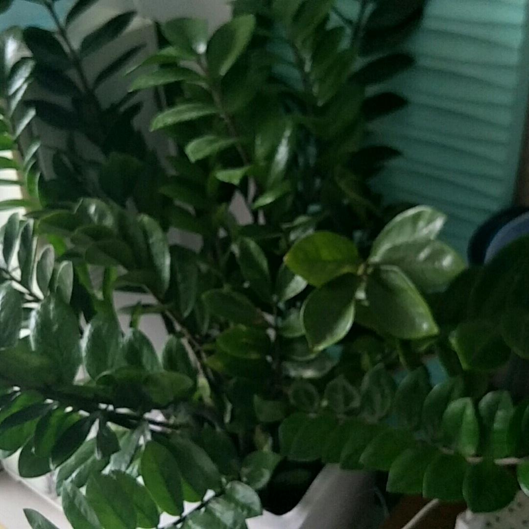 你若有情，我们继续。