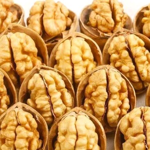 纸皮核桃