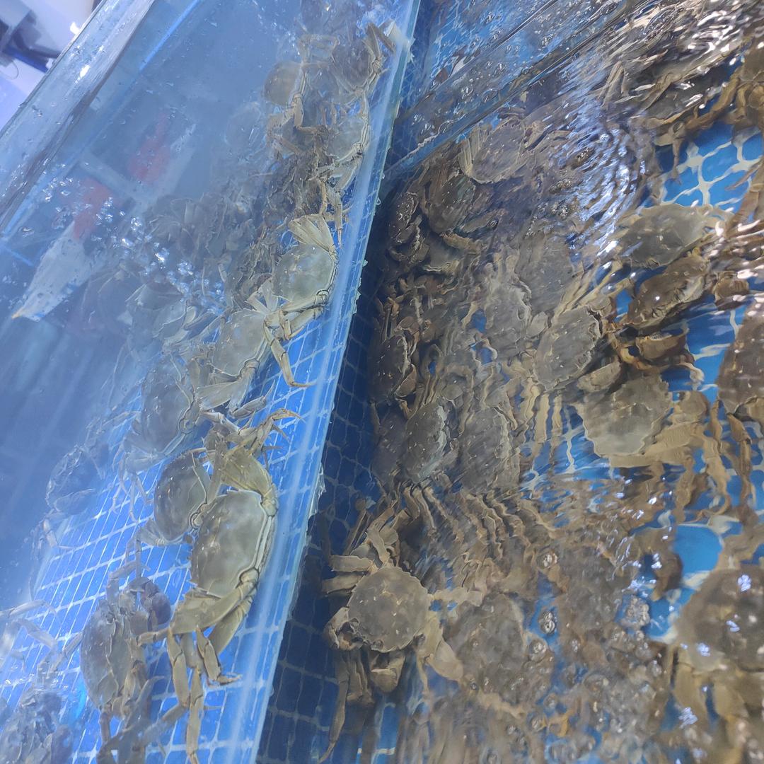 洪发海鲜市场
