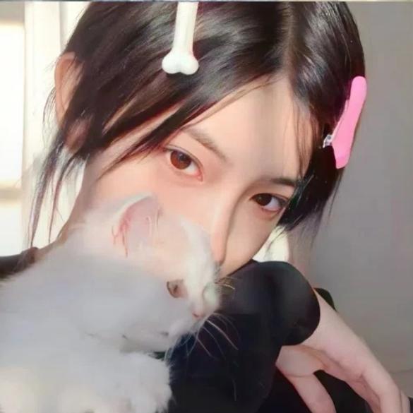 星星偷走睡意