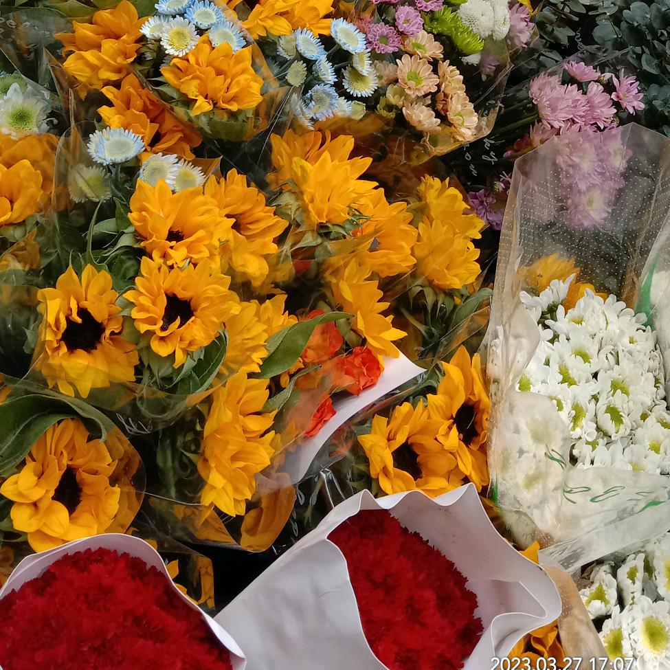 微  笑  向  暖（请不要连赞）