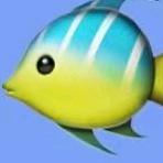 谁乱了浮生