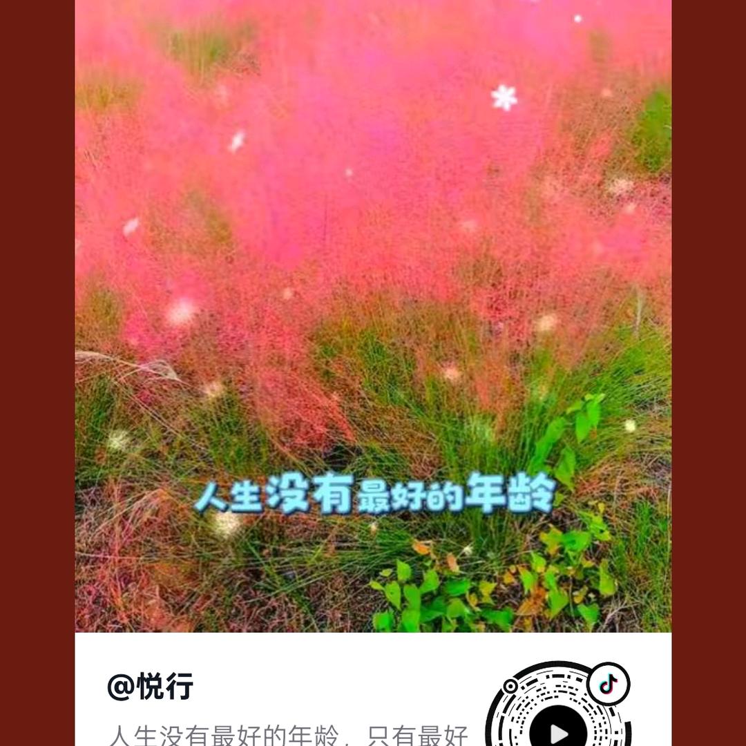 阳光彩虹