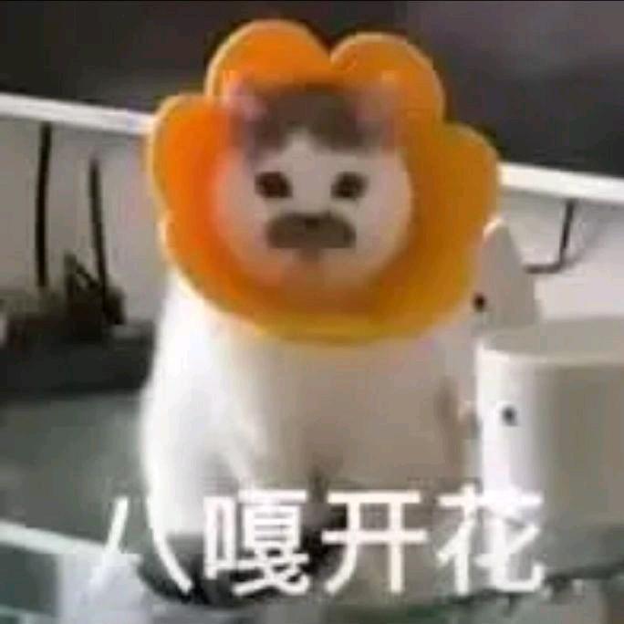 北海的花开了