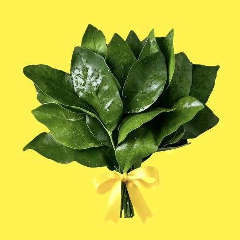 别捏我脸ˡᵃʕ̯•͡˔•̯᷅ʔ