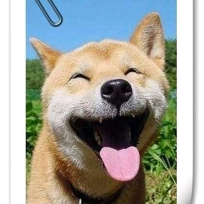 主题乐园