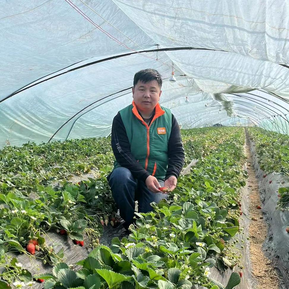 诚信行天下--魏来可期