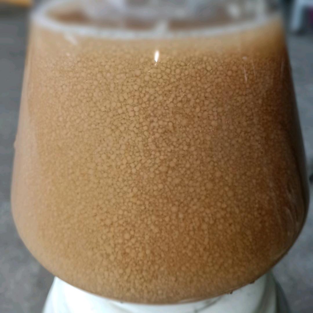 山东英才食用菌种植