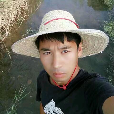 贺军影视83
