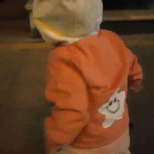 喵喵水族用品店