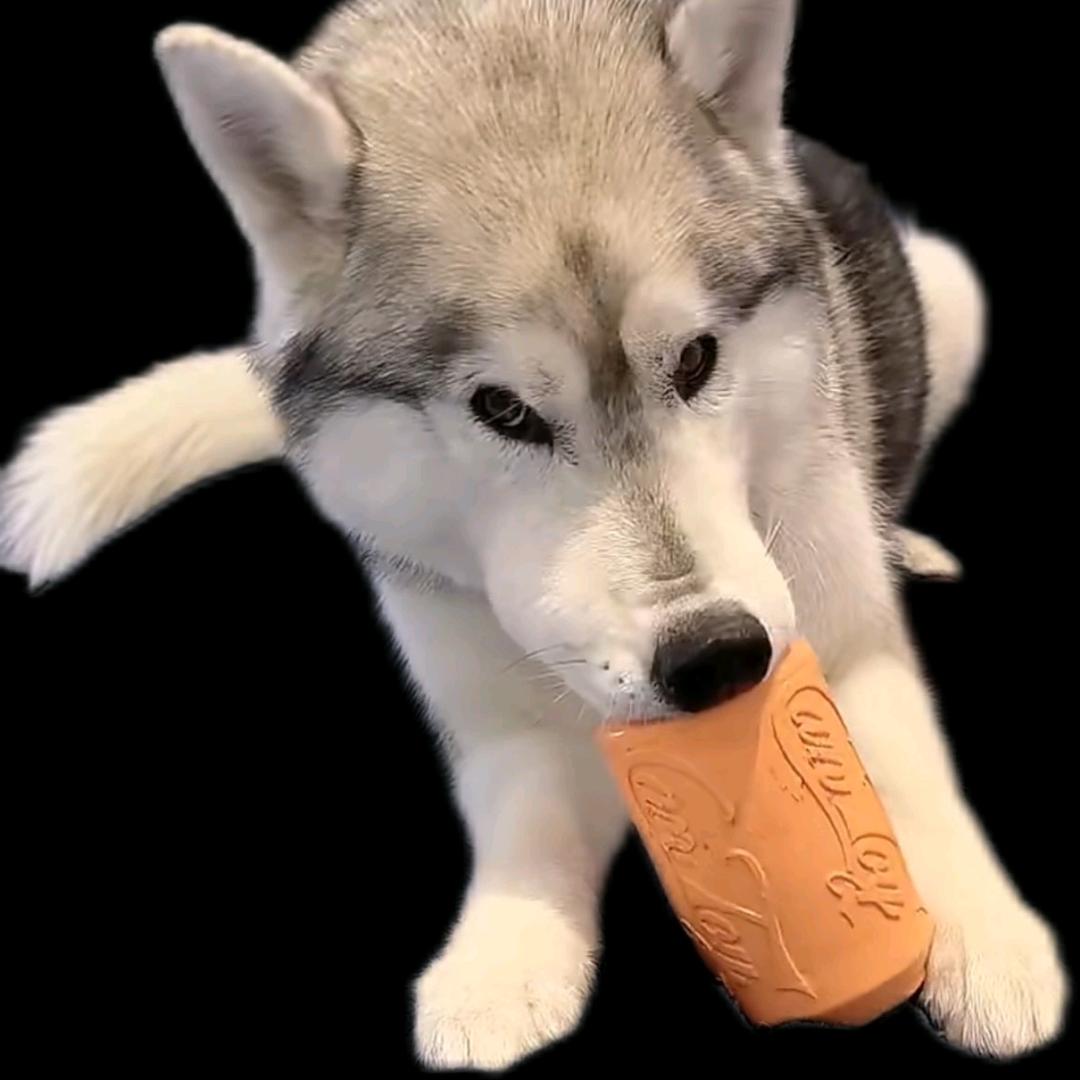 滋滋我超爱（期待中奖版）